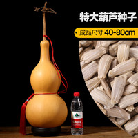 肉总管小葫芦籽手捻文玩八宝观赏盆栽稀有大葫芦种子大全种苗秧葫芦籽种 特大葫芦20粒