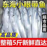 海捕带鱼小眼带鱼新鲜带鱼整箱批发整条生鲜食材下饭下酒 五斤装【一斤3-4条】