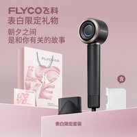  FLYCO/飞科 负离子护发 吹风机