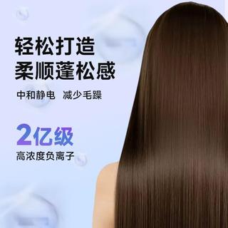  ABP 负离子护发 吹风机