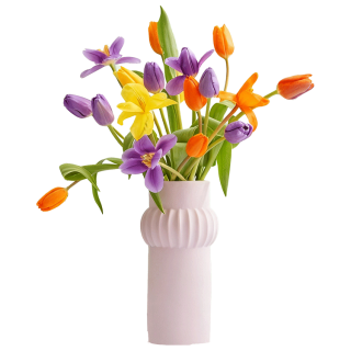 京东鲜花 跨晚同款-郁金香鲜花20枝多巴胺混色（三种颜色混搭）源头直发