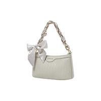 百思图 25秋季腋下链条包轻奢小众高级感织斜挎包女J5058CX5 灰色 F