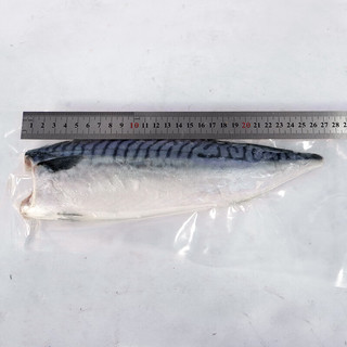 ANSON挪威青花鱼进口深海鱼类特大青花鱼鲭鱼鲐鲅鱼生鲜海鲜送礼 挪威青花鱼2kg【8-12片】
