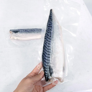 ANSON挪威青花鱼进口深海鱼类特大青花鱼鲭鱼鲐鲅鱼生鲜海鲜送礼 挪威青花鱼2kg【8-12片】