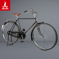 凤凰（Phoenix）凤凰老式自行车传统老式复古杆闸单车男女二八大杠杆刹自行车 PA18型28寸双脚撑+大礼包