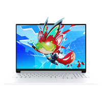 机械革命 极光X 潮玩版 16英寸 i7-14650HX RTX5060 300Hz 16G 1T