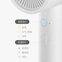 小米 Xiaomi 米家负离子速干吹风机H300