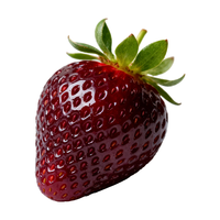 北蔬草莓种子盆栽家庭种植四季 真红美玲(黑草莓）草莓苗 3棵