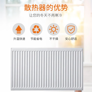 菲斯曼壁挂炉A1JE天然气采暖热水两用锅炉 二级能效 采暖定金