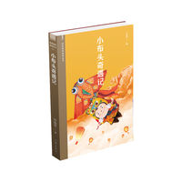 小布头奇遇记（阅读指导目录丛书 中国经典童话）