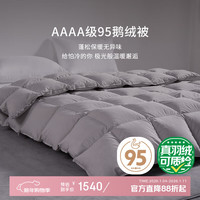 霞珍 95鹅绒被子 轻音保暖双人被芯 适宜室温10-15℃ 冬被-200*230cm-填充1000g 冬被
