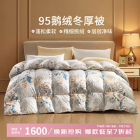 富安娜 家纺 羽绒被芯95%白鹅绒被子冬天加厚冬被 95灰鹅绒-晓露2.0 （被芯152*210cm）