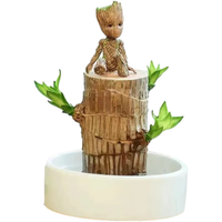 京云梦澳洲腊梅鲜花切花水养花束客厅插花年宵1束红色50厘米源头直发