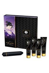 春画 Naughty Geisha's Secret Collection
