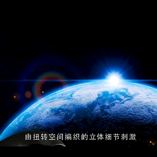 TENGA Flip 360°扭转 高密刺激款 手动飞机杯（110°开合/S型螺旋扭转/全方位刺激）