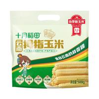 十月稻田云南拇指玉米500g非转基因真空包装甜糯软糯新鲜玉米