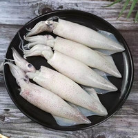 连海肴新鲜速冻大号笔管鱼 海兔子乌贼籽乌 铁板烧烤火锅小鱿鱼露营食材 生冻笔管鱼 3斤(净重)  【500g*3包】