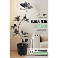 叹为观止黑金刚橡皮树客厅大盆栽造型室内阳台植物办公室大型绿植好养四季 拍照选货 单飘枝橡皮树 含盆