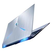 MACHENIKE 机械师 F117-V 15.6英寸 银色 (酷睿i7-10750H、RTX 2060 6G、16GB、256GB SSD+1TB HDD、1080P、IPS、144Hz)