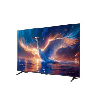 百亿补贴：雷鸟 鹤6 26款 65R69A miniled 电视