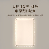 雷士 吸顶灯客厅灯大户型智能轻奢新中式led照明灯具套餐-悦岚