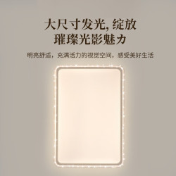 雷士 吸顶灯客厅灯大户型智能轻奢新中式led照明灯具套餐-悦岚