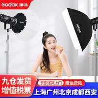 神牛 SL150III三代直播补光灯摄影球形柔光灯罩 双灯套装-柔光球/60*90柔光箱 官方标配