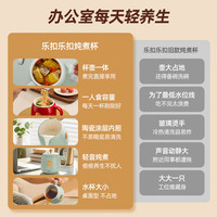 LOCK&LOCK 迷你养生壶 电热水杯  白色 0.4L