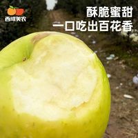 西域美农瑞雪苹果苹果新鲜水果鲜甜细腻瑞雪应季新鲜水果苹果