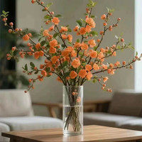 优跃 梅花干枝橙色带花苞   18枝  50-65cm