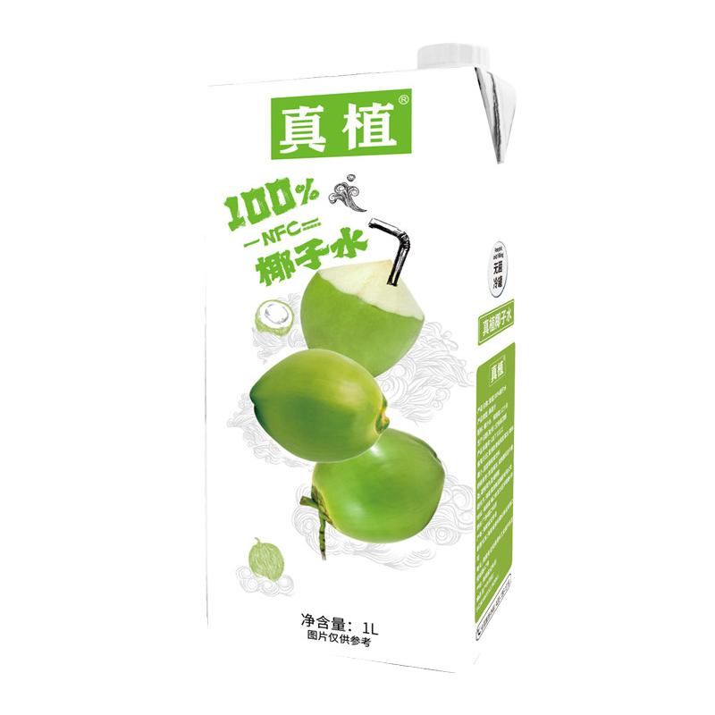 真植 100%椰子水