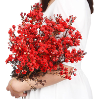 悦多彩A级澳洲平头腊梅中国腊梅鲜花云南基地直发生活鲜花 银柳鲜枝 A级腊梅2扎（色）送5个小挂件