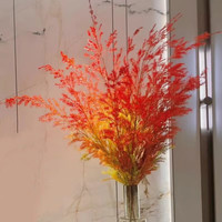 花珊珊精品千层金 山里红 金合欢鲜花家庭瓶插装饰年宵花云南直发 千层金【红色】 一扎