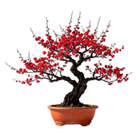 静黛轩红梅花盆栽树苗原生老桩盆景阳台庭院绿植物浓香花卉耐寒四季腊梅 【特级大苗】龙游梅2-2.5公分粗