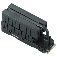  Nextorage 读速高达12400MB/s SSD固态硬盘 散热片  2TB