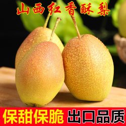 华北强 红香酥梨现摘贵妃红梨3斤