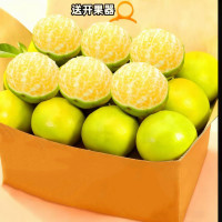 果迎鲜 广西皇帝柑 净重4.5斤 (单果45-55mm)