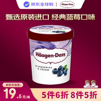 哈根达斯 Haagen-Dazs）冰淇淋 蓝莓口味冰激凌95ml/杯
