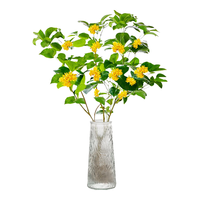 壹植水培植物桂花树苗盆栽带花浓香室内办公室桌面水养四季桂绿植花卉 水培桂花30-40cm单植物1棵+养液 水培桂花30-40cm单植物1棵装