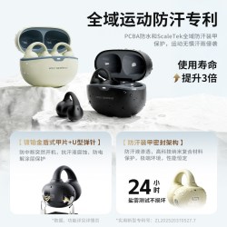 蛇圣 陨石 蓝牙耳机  岩石黑|专业运动防汗|铍动圈单元