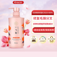 肌美精 日本进口纯草本植物精华去屑控油蓬松无硅油洗发水男女480ml