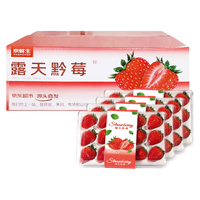 京鲜生 黔莓大凉山露天草莓2.4斤 新鲜水果源头直发  300g*4盒（15-20粒/盒）