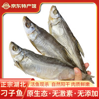鄂峰 翘嘴鱼白条鱼 大白刁阳干小刁子鱼整条湖北特产淡水鱼腌鱼糍粑鱼 2袋*250g阳干小刁子鱼丨加冰发货