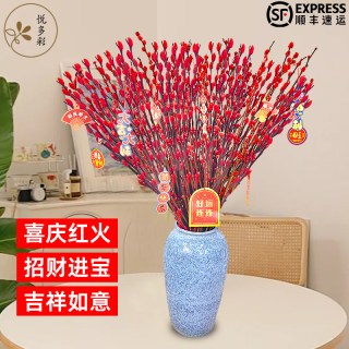 悦多彩 20支真枝银柳+5个新年挂件