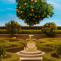 SANTA MARIA NOVELLA 圣玛利亚美第奇花园 诡橙浓香水100ml 柑橘调新年 诡橙 100ml