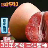 三红蜜柚福建平和琯溪蜜柚三红蜜柚新鲜当季柚子
