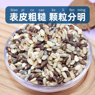 硃碌科有机三色青稞米3斤罐装白蓝黑三色青稞米低脂肪五谷杂粮粗粮粥米 有机三色青稞米3斤