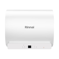林内（Rinnai）家用60升电热水器 【优惠15%】一级能效 扁桶小尺寸 3300W速热  双胆储水式（DSG60-DE19PN）