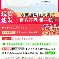 OPPO Enco R4 蓝牙耳机