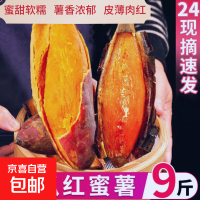 现挖西瓜红蜜薯沙地香甜软糯红心番薯山芋无丝农家自种